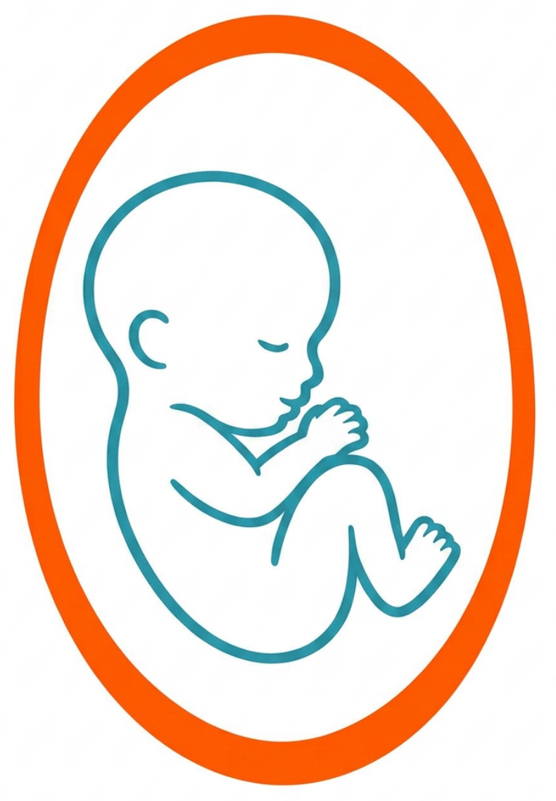 Teach When Life Begins